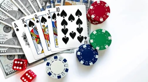 olxtoto 2025 betting interface and card display
